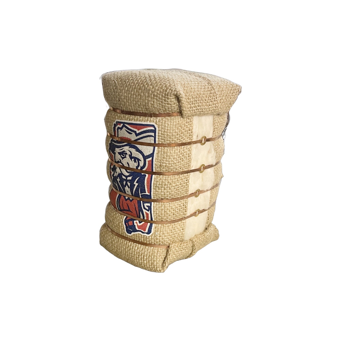 6" Colonel Reb in MS Bale