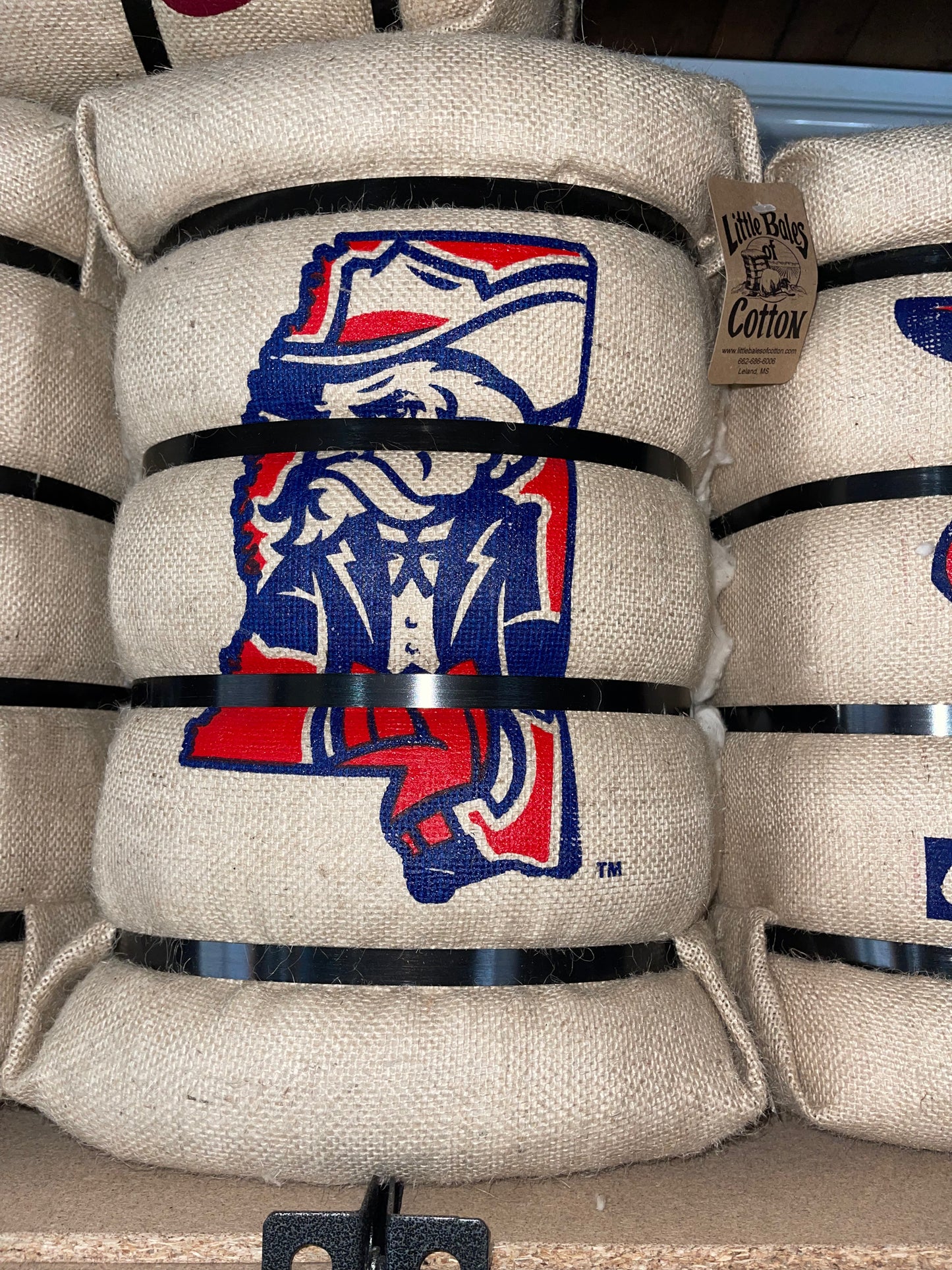 18" Colonel Reb in MS