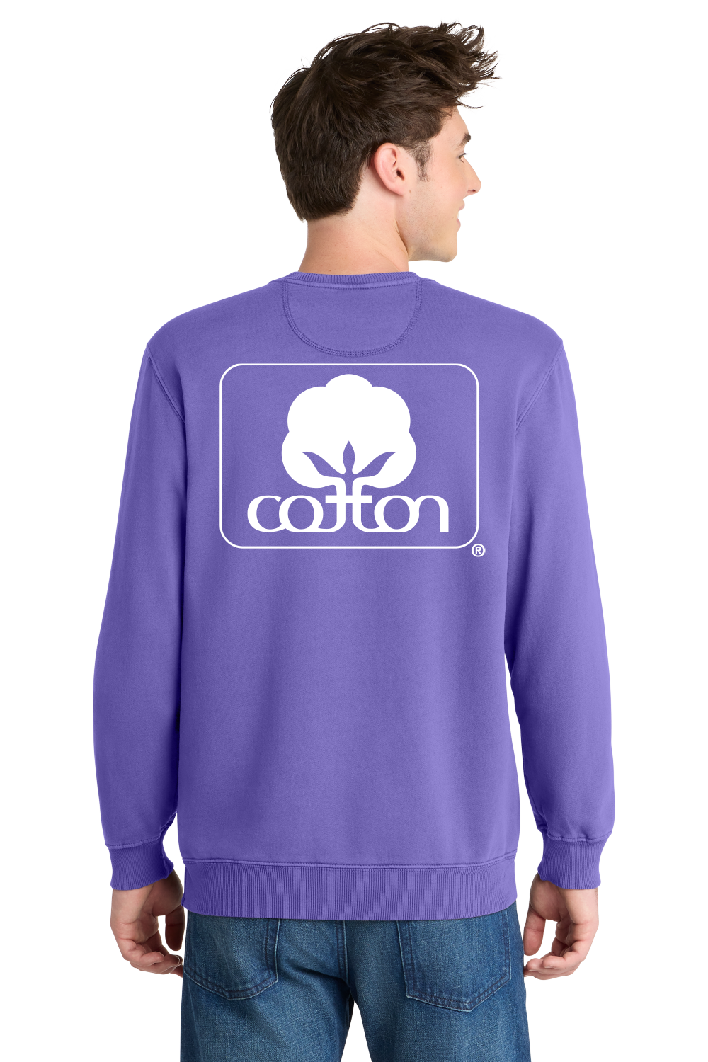 Licensed Cotton Inc. Amethyst Sweatshirt