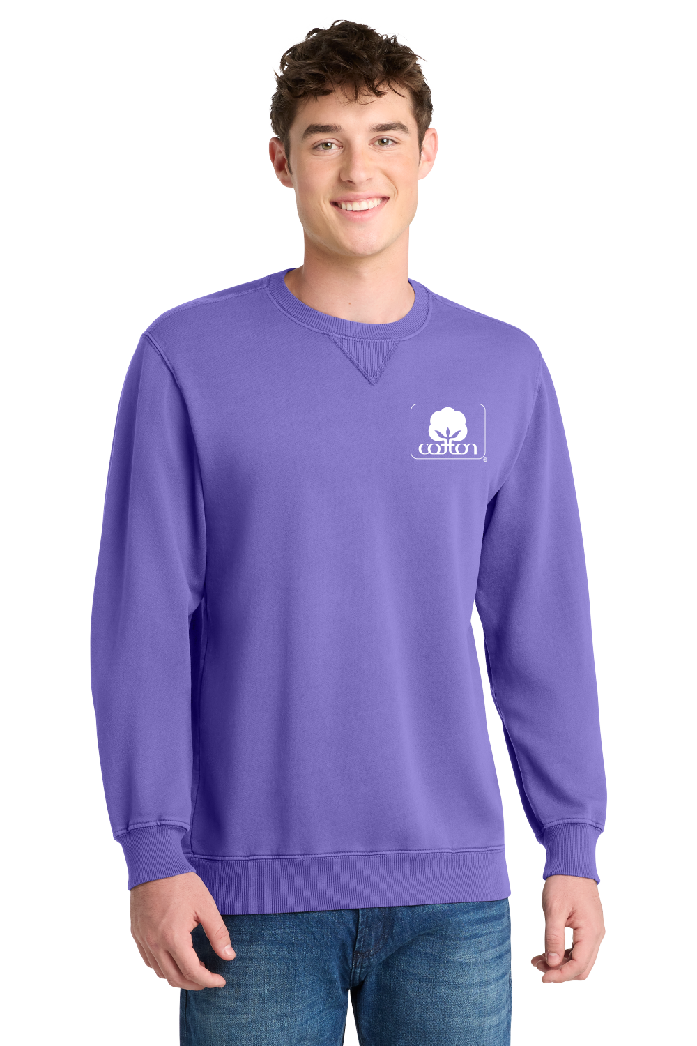 Licensed Cotton Inc. Amethyst Sweatshirt