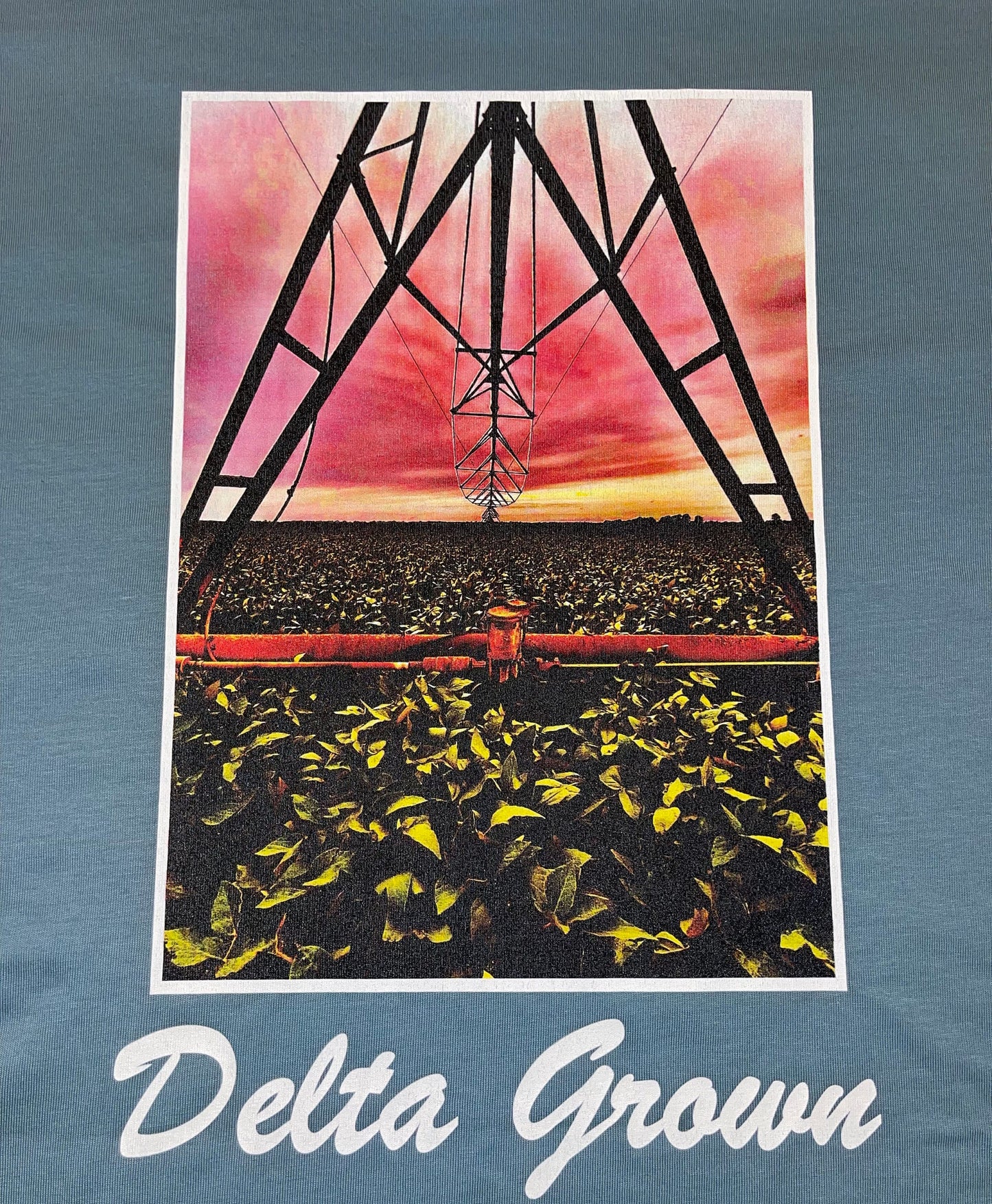 Delta Grown Soybean Shirt